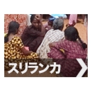 srilankalink.gif