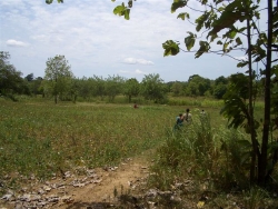 field of integrated organic farming project.jpg