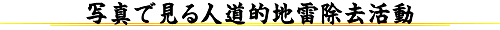 紛争予防,予防外交,地雷,小型武器,DDR,平和構築,スリランカ,カンボジア,アフガニスタン,内戦,平和,紛争,戦争,予防,国際,NGO,NPO,民族紛争,地域紛争,国際関係,人権